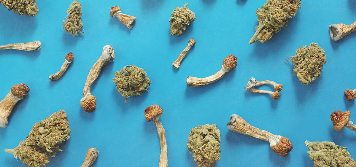 Cannabis & Psychedelics Reported Most Effective Non-Prescription Drugs by Eating Disorder Patients