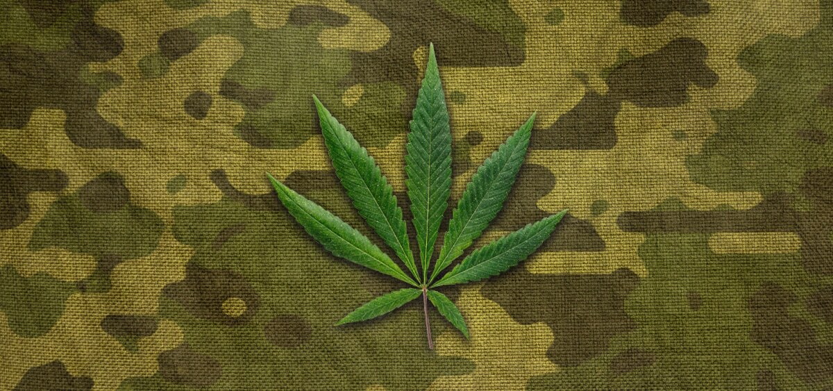 House-Approved Veterans Affairs Budget Bill Ends Prohibition on Medical Cannabis Recommendations