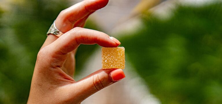 Survey Finds Edibles Are the Most Popular Cannabis Products in New York  