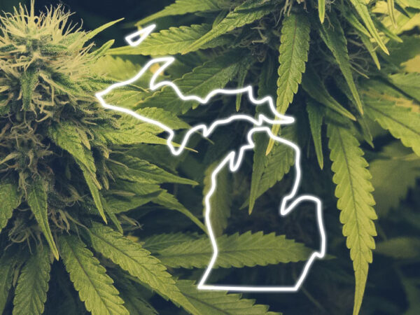 Michigan Revokes 20 Medical Cannabis Cultivation Licenses From Grower