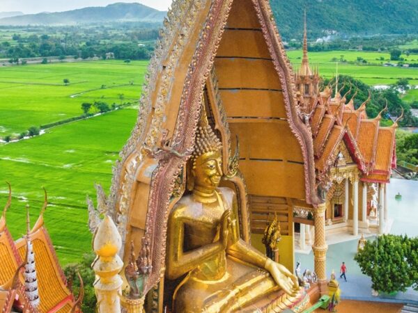Champion of Thailand’s Cannabis Decriminalization Reforms Becomes Prime Minister 