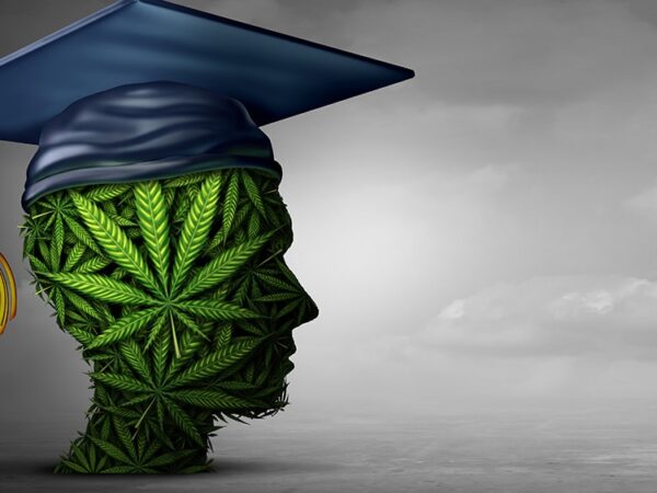 Kent State University Expands Cannabis Offerings With 6 Career Certificate Programs
