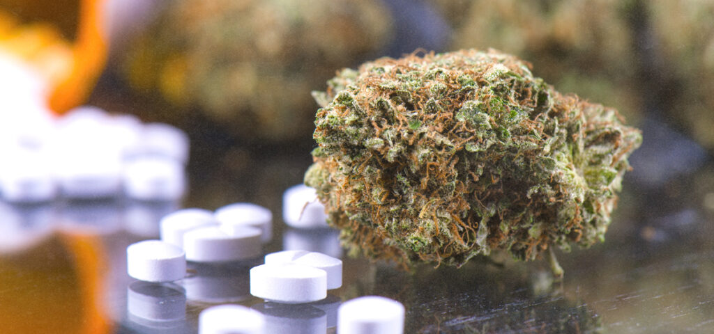 Studies Find Medical Cannabis Replaces Pain Medication; Reforms Lead to Fewer Opioid Prescriptions
