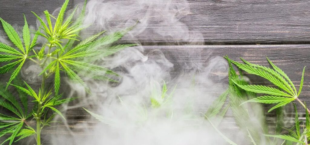 Bid to Repeal Maine Adult-Use Cannabis Industry Fails to Reach Ballot