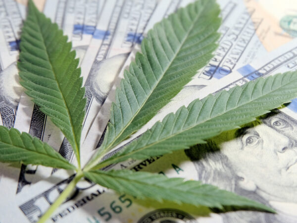 Federal Bill Would Give State-Legal Cannabis Companies Access to Banking Services