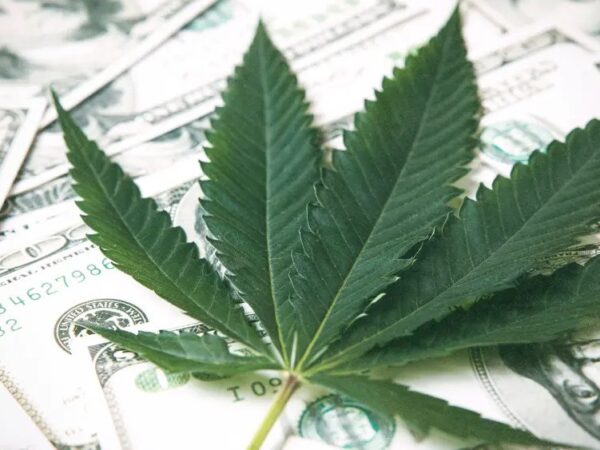 Michigan Wholesale Cannabis Tax Faces Second Legal Challenge