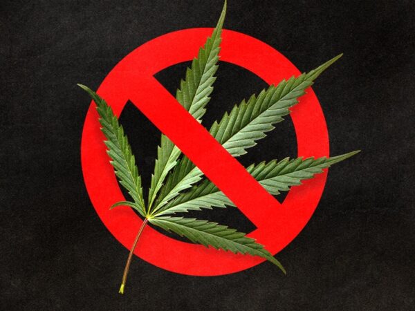 Mississippi Gov. Vetoes Medical Cannabis Reform Bills 