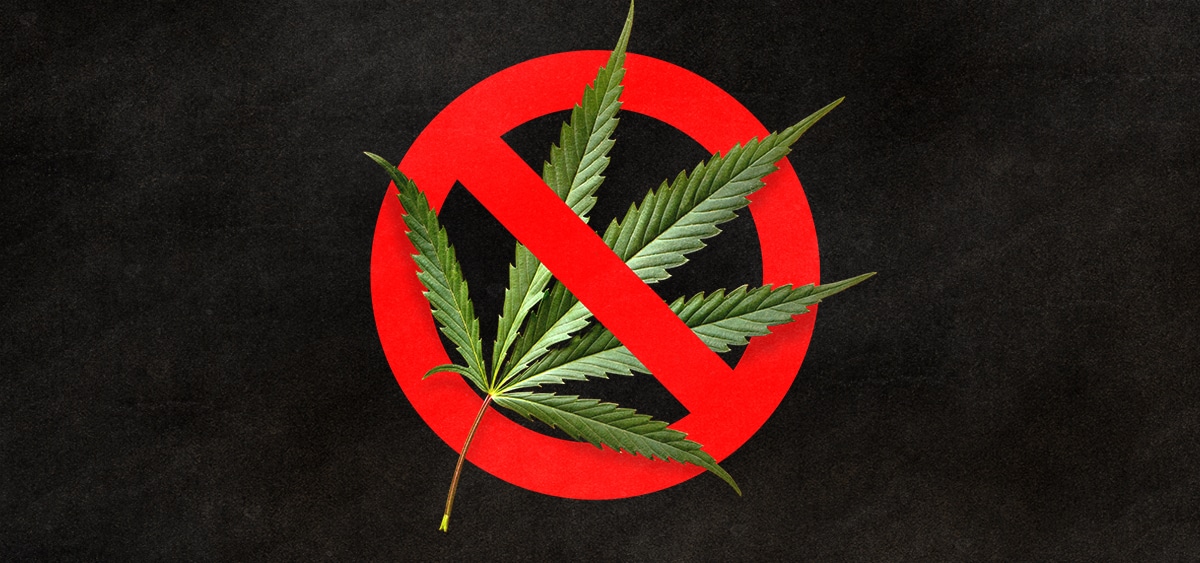 Mississippi Gov. Vetoes Medical Cannabis Reform Bills 