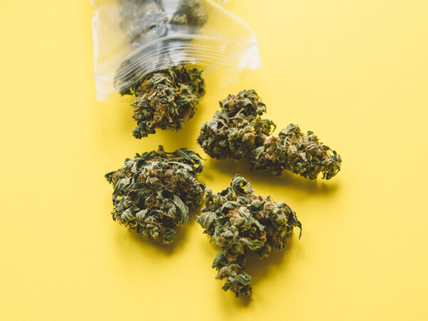 Canadian Police Dispute Claims that Unlicensed Dispensaries Participate in Gun and Human Trafficking