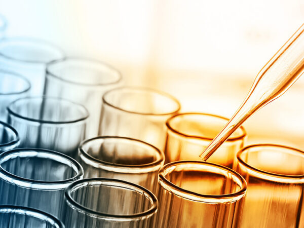 Federal Bill Would Create Cannabis Research Protections