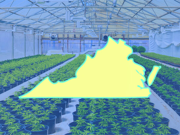 Virginia Lawmakers Reject Governor’s Amended Cannabis Sales Proposal