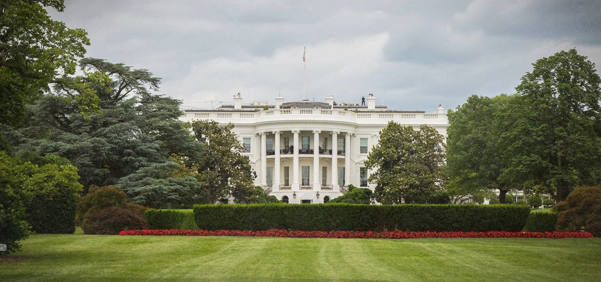 Trump Signs Executive Order Supporting State-Run Psychedelics Programs