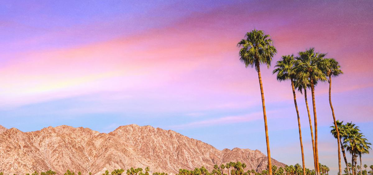 California Earned $248 Million in Q1 Cannabis Tax Revenue