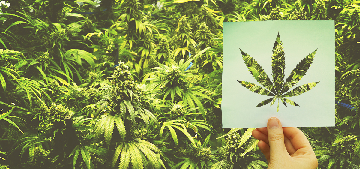 Indiana Gov. Says Federal Medical Cannabis Reclassification Makes State Reforms ‘More Likely’