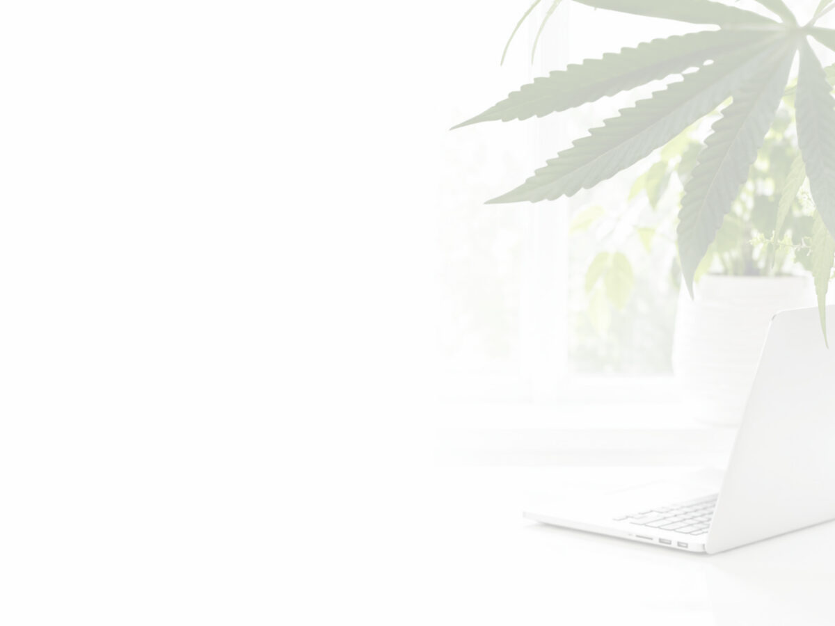 The Grassroots Press Revolution Has Arrived: Introducing the Green Press Collective