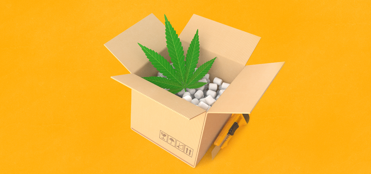 Georgia Planning to Allow Medical Cannabis Delivery by Mail
