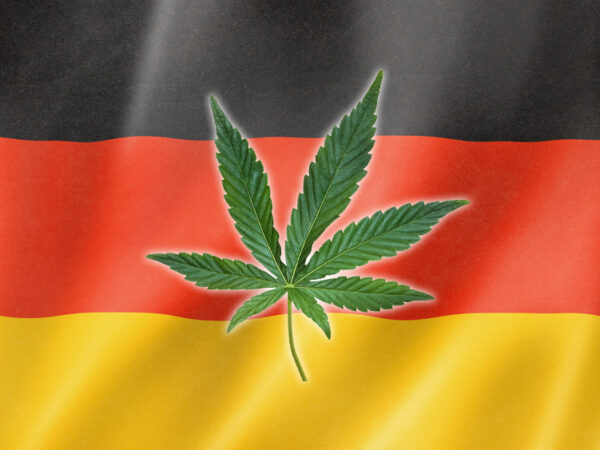 Medical Cannabis Imports in Germany Increase Sixfold Since 2024 Reforms 