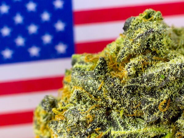 Gallup: 17% of Americans Smoke Cannabis; 15% Consume Edibles 
