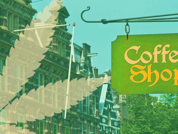 Report: Dutch Pilot Cannabis Legalization Program Led to More Diversified Market