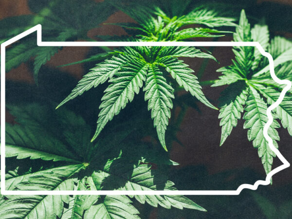 Pennsylvania Medical Cannabis Program Audit Calls for Increased Oversight
