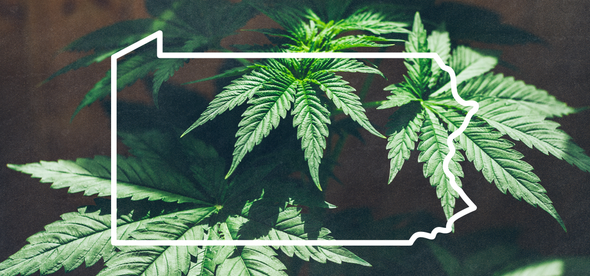 Pennsylvania Medical Cannabis Program Audit Calls for Increased Oversight