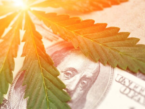 Aurora Rejects Curaleaf’s Revised Hostile Takeover Bid