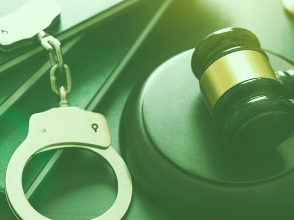 Owner of Kansas Hemp Businesses Pleads Guilty to Federal Charges for Illicit Cannabis Sales 